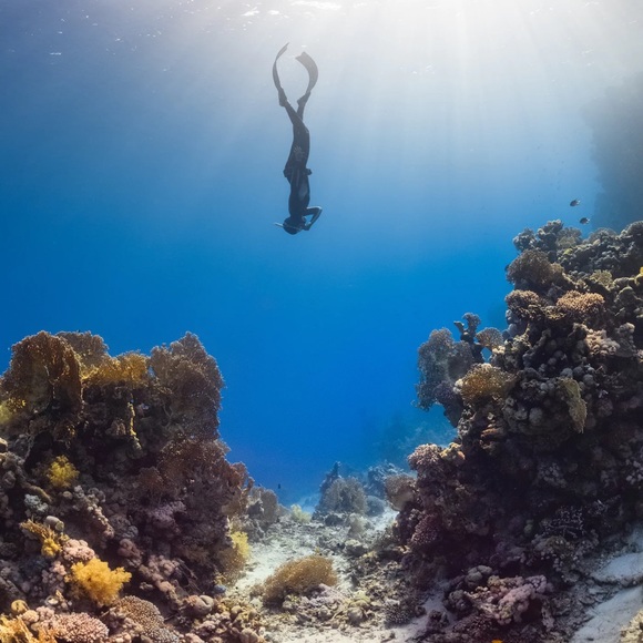 ποΈ BUNDLE to SAVE! πΊοΈ - Picture 5 of 6